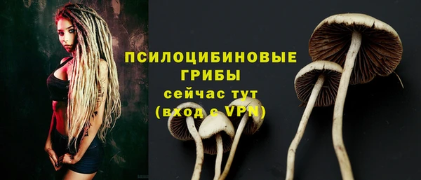 apvp Семёнов