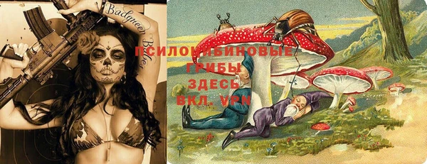 бошки Абаза
