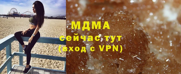 PSILOCYBIN Алзамай